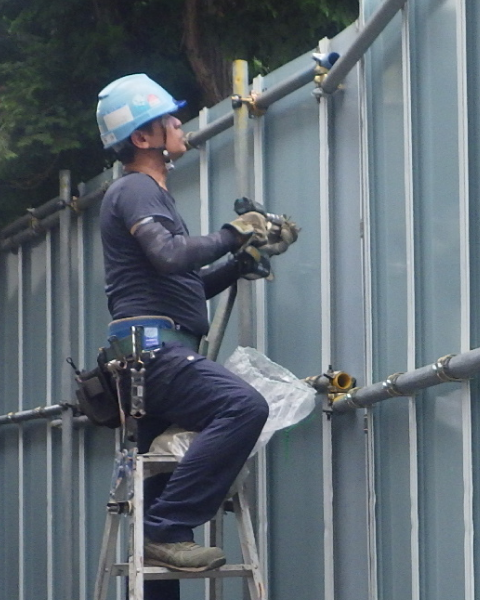 採用情報