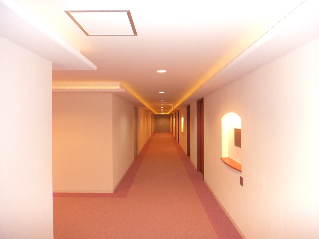 大学